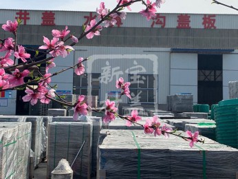 花滿枝頭，春意盎然